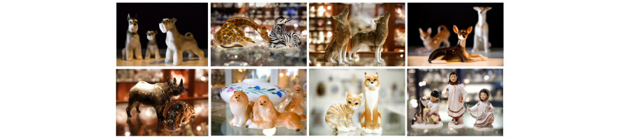 Animals