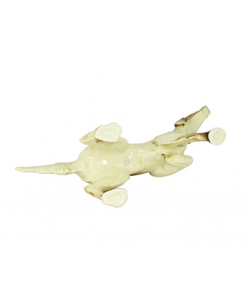 LOMONOSOV IMPERIAL PORCELAIN FIGURINE DOG SETTER
