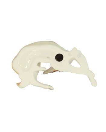 LOMONOSOV IMPERIAL PORCELAIN FIGURINE DOG BORZOI GREYHOUND WOLFHOUND 
