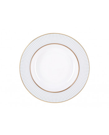 LOMONOSOV IMPERIAL PORCELAIN DINNER PLATE DUBLIN DEEP 22.5 cm 8.9"