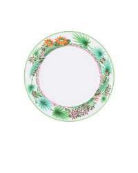 LOMONOSOV IMPERIAL PORCELAIN DINNER PLATE JUNGLE 27 cm 10.6"