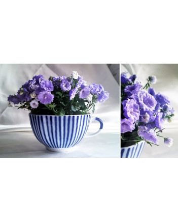  LOMONOSOV IMPERIAL PORCELAIN TEACUP AND SAUCER TULIP FRENCHMAN 250 ML/8.45 OZ