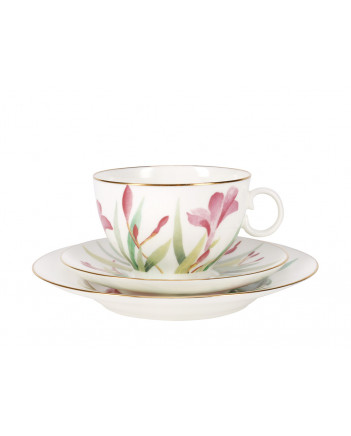 LOMONOSOV IMPERIAL BONE CHINA PORCELAIN TEA SET SERVICE AQUARELLE APPLE 20 items