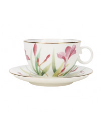 LOMONOSOV IMPERIAL BONE CHINA PORCELAIN TEA CUP APPLE AQUARELLE 160 ml/5.4 fl.oz