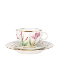 LOMONOSOV IMPERIAL BONE CHINA PORCELAIN TEACUP TRIO SET APPLE AQUARELLE 160 ml/5.4 fl.oz