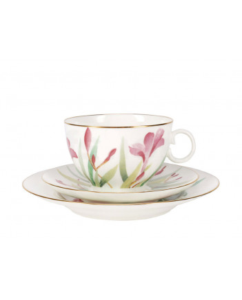 LOMONOSOV IMPERIAL BONE CHINA PORCELAIN TEACUP TRIO SET APPLE AQUARELLE 160 ml/5.4 fl.oz