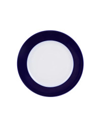 LOMONOSOV IMPERIAL PORCELAIN DINNER PLATE AURORA NIGHT 27 cm 10.6"